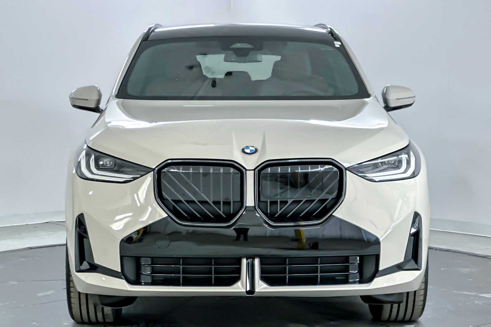 Thumbnail: 2026 BMW X3 - 10