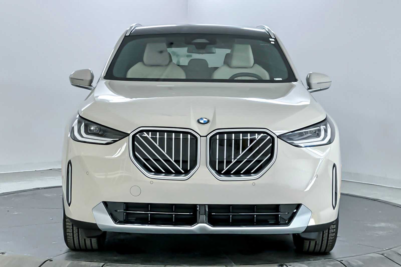 Thumbnail: 2026 BMW X3 - 10