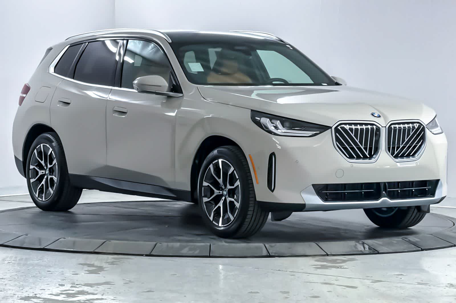 Thumbnail: 2026 BMW X3 - 9