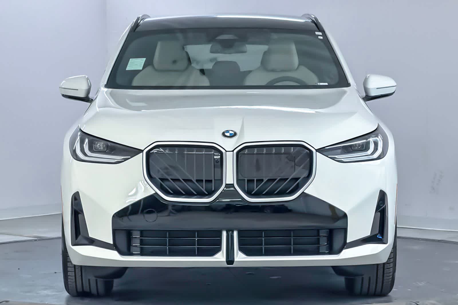 Thumbnail: 2026 BMW X3 - 10