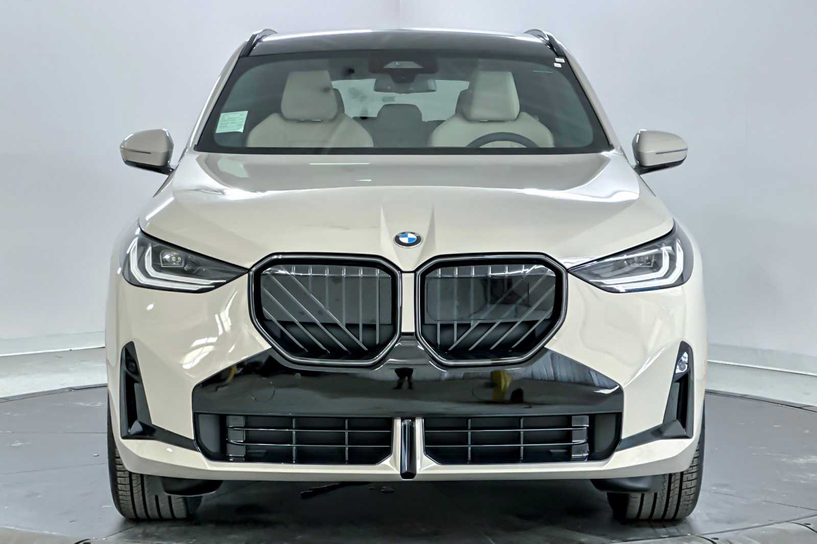 Thumbnail: 2026 BMW X3 - 10