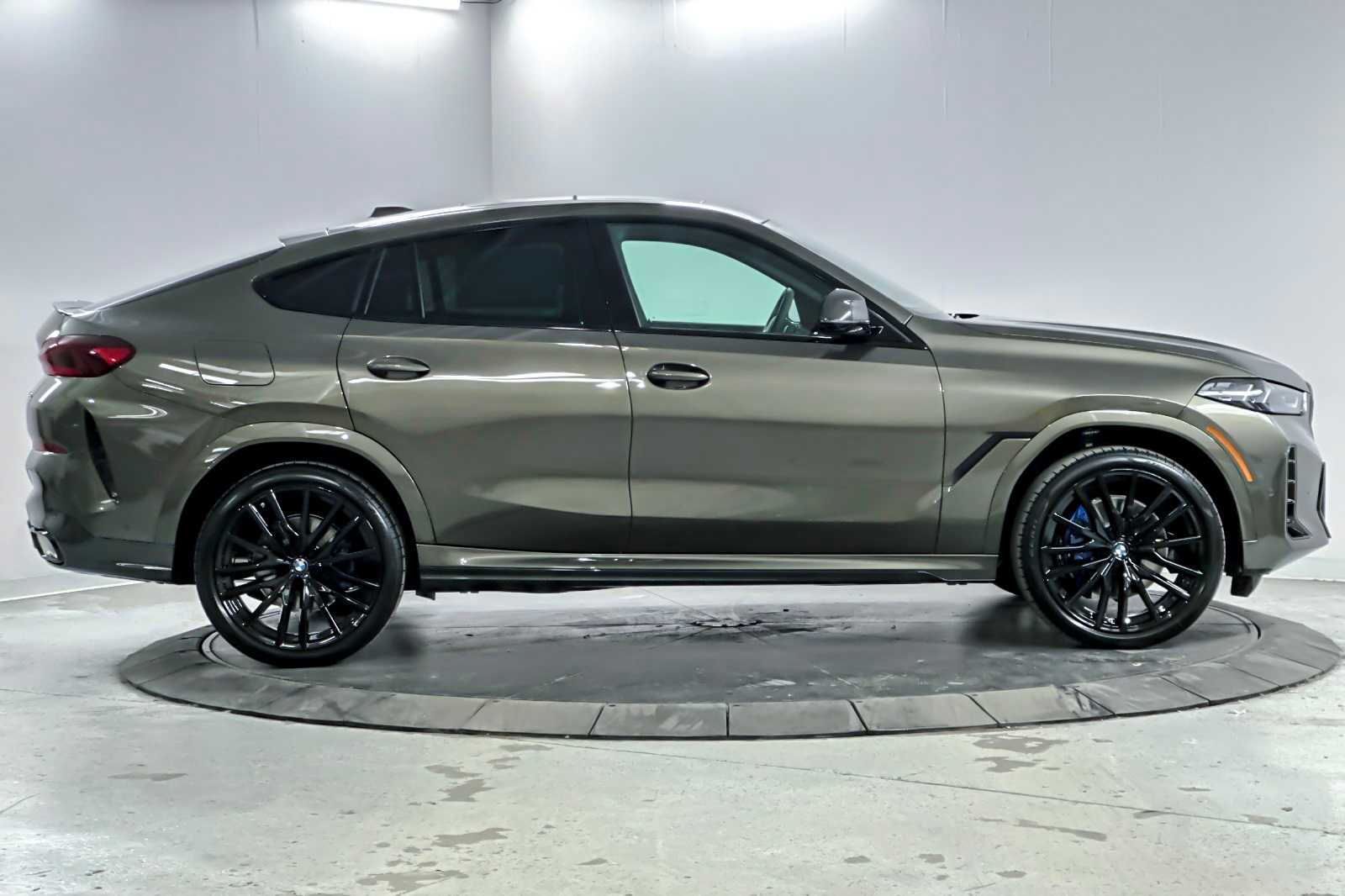 Thumbnail: 2026 BMW X6 - 8
