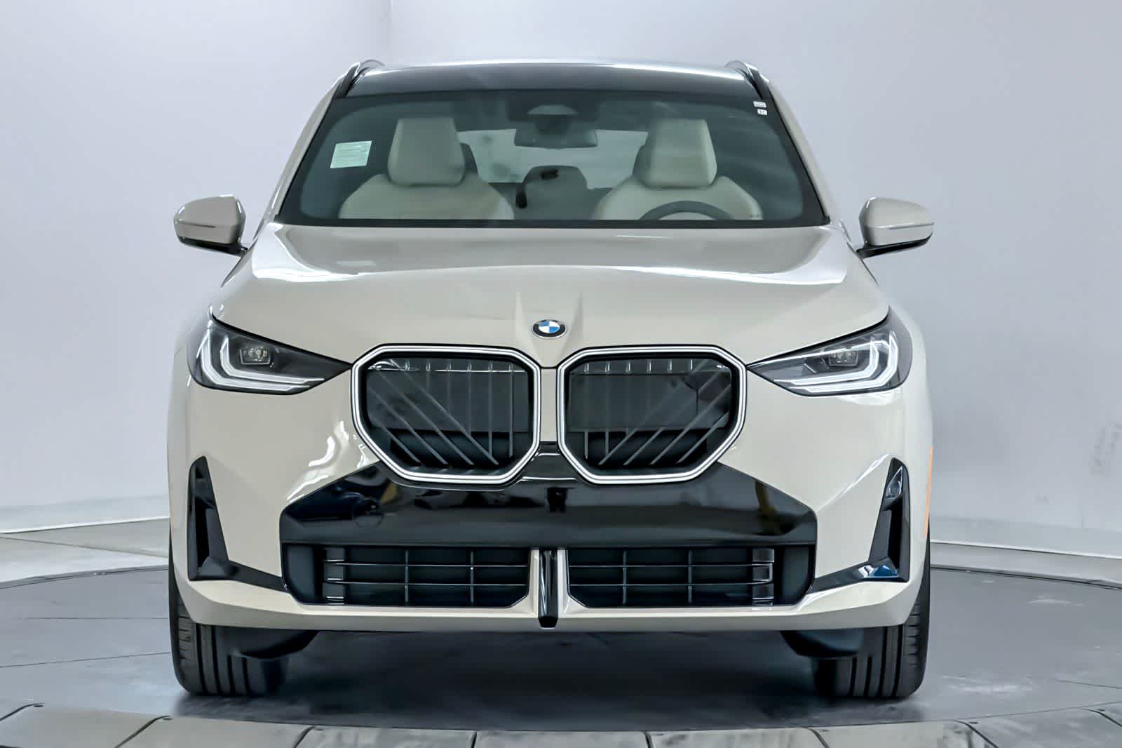 Thumbnail: 2026 BMW X3 - 10