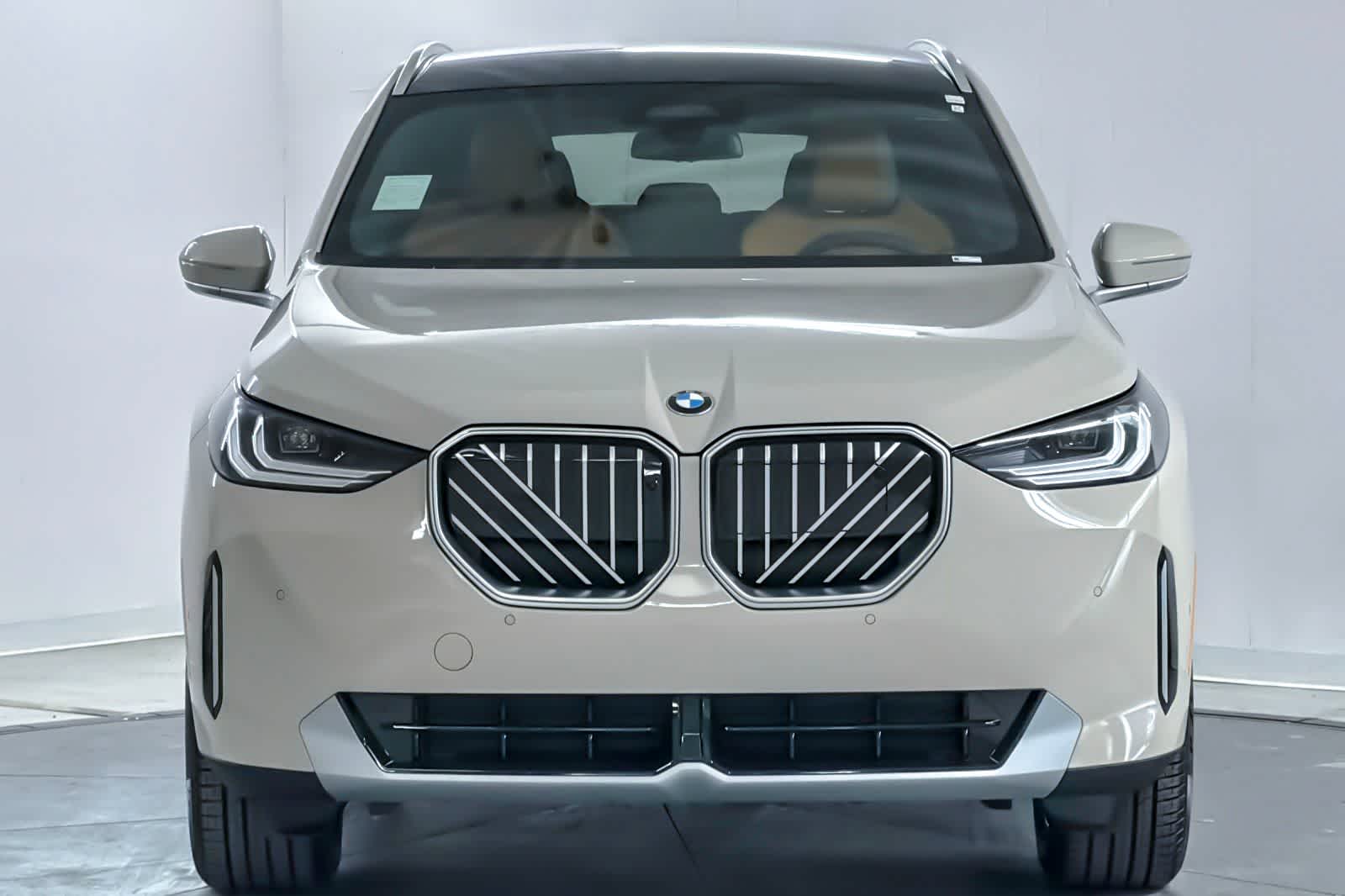 Thumbnail: 2026 BMW X3 - 10