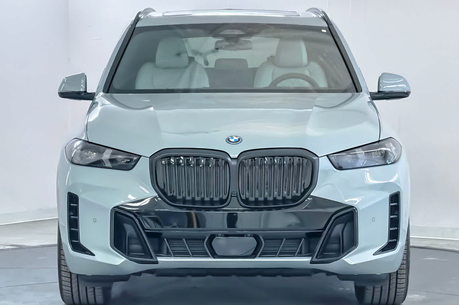 Thumbnail: 2026 BMW X5 - 10