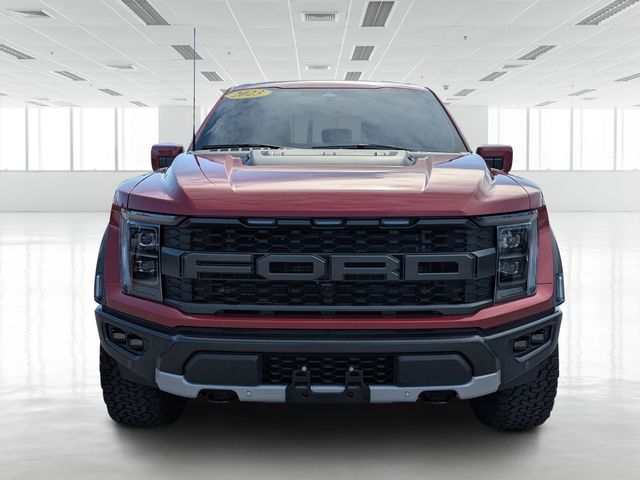 2023 Ford F-150 Raptor photo 2