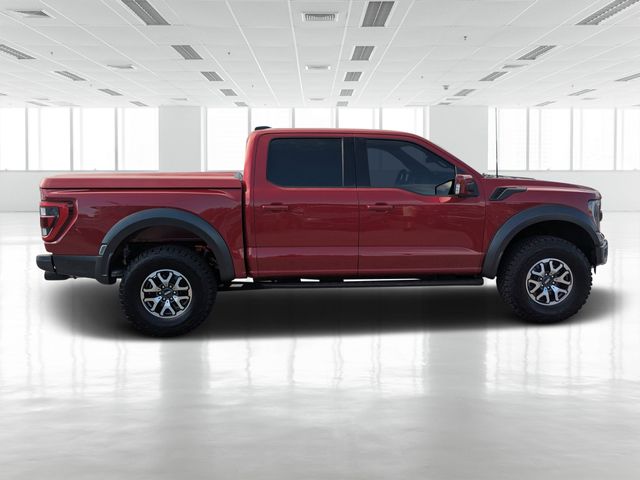 2023 Ford F-150 Raptor photo 3
