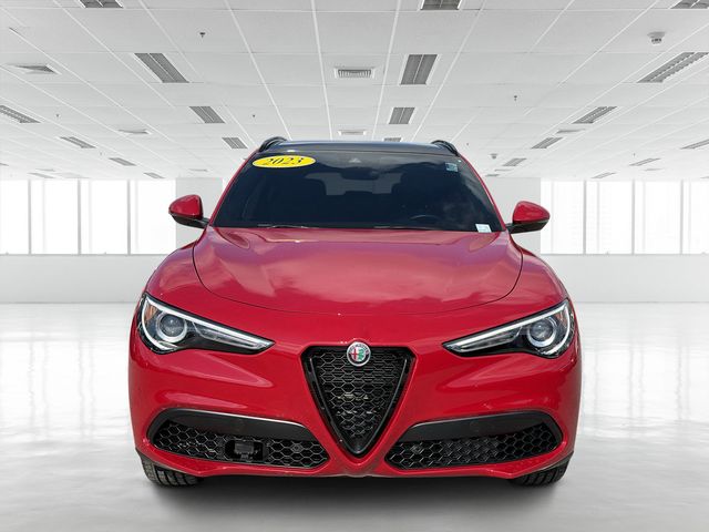 Used 2023 Alfa Romeo Stelvio Sprint with VIN ZASPAKAN5P7D56647 for sale in Sarasota, FL