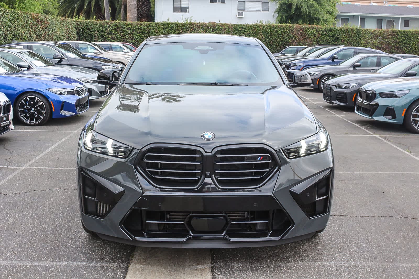 2024 BMW X6 M photo 2