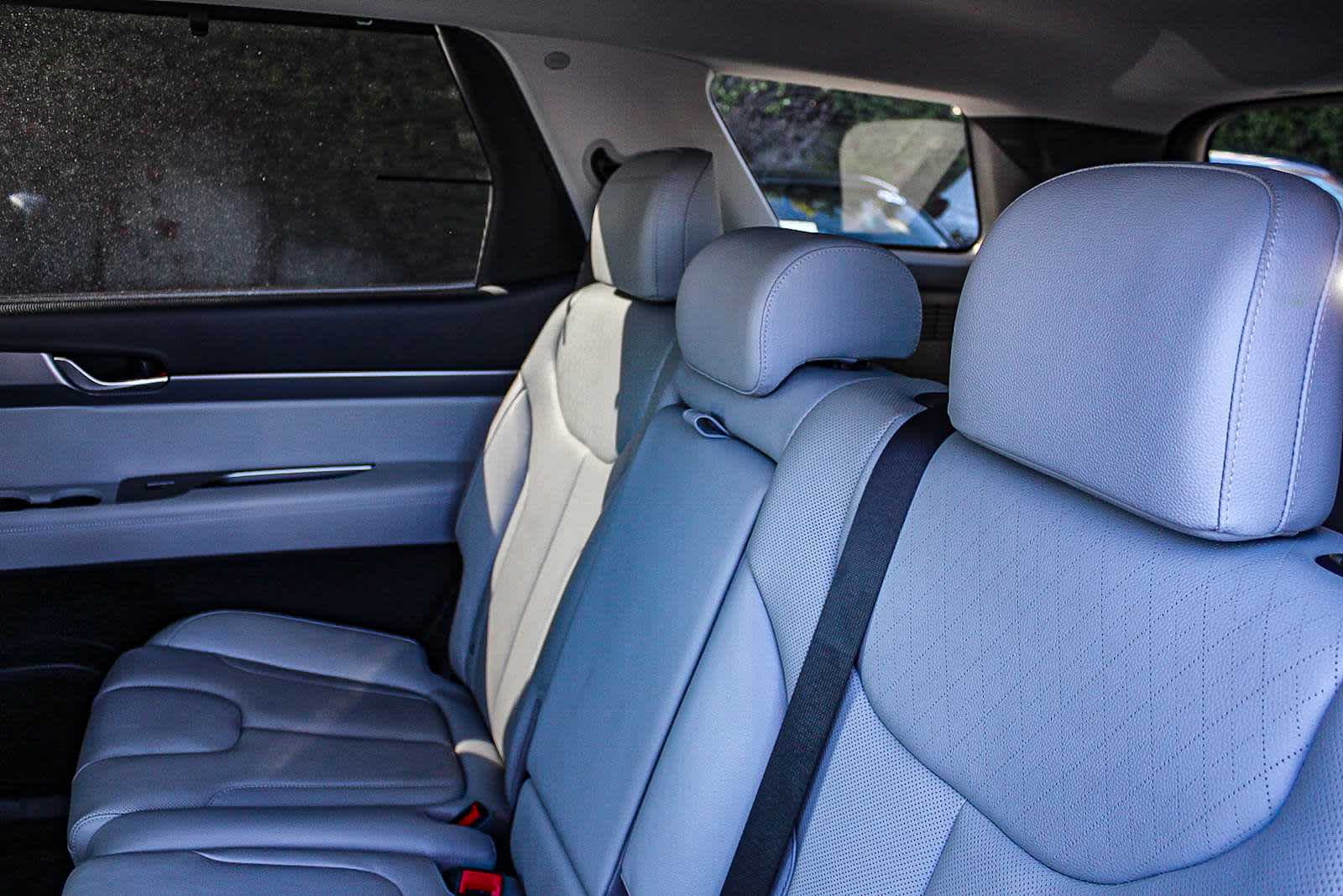 Thumbnail: 2020 Hyundai Palisade - 18