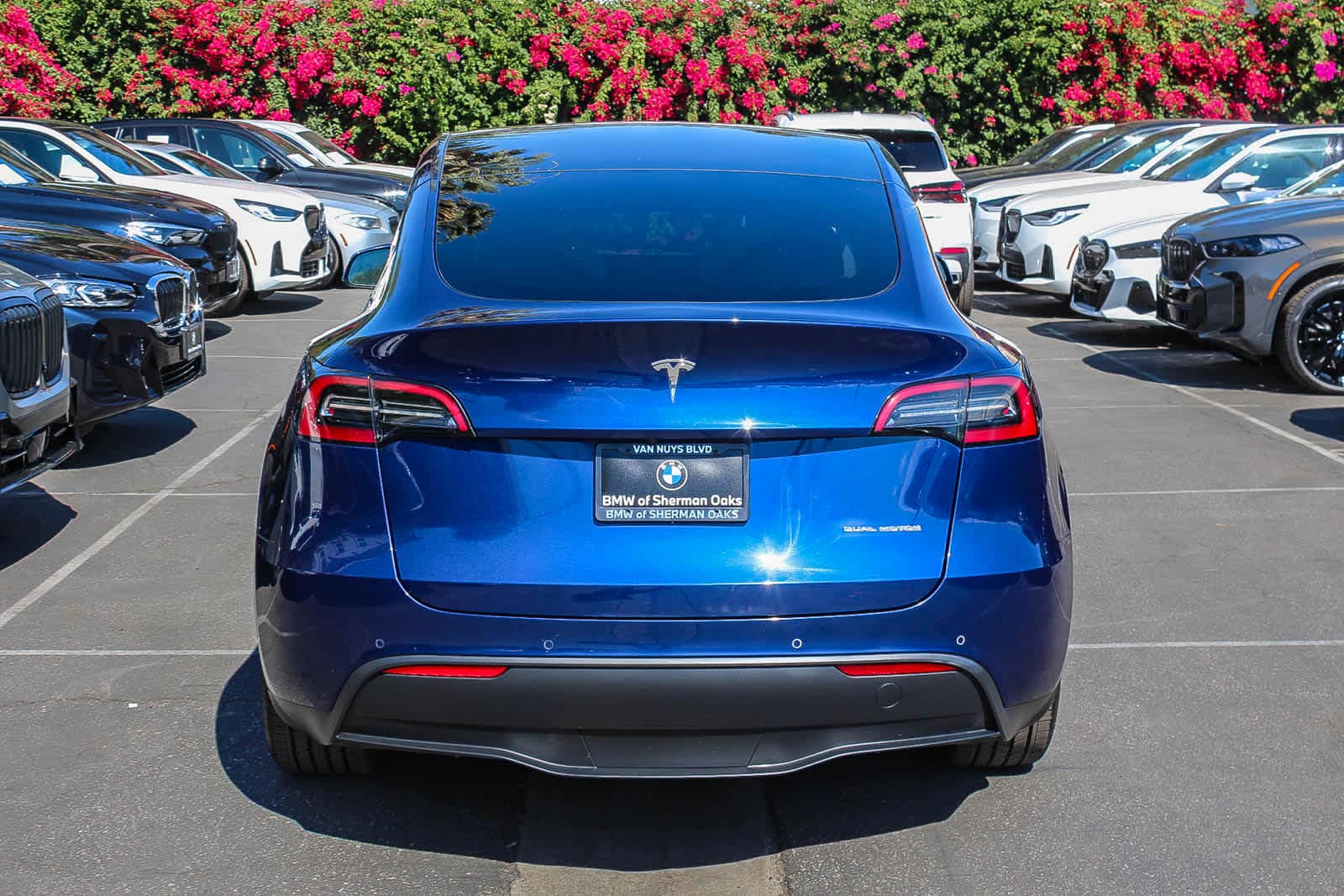 Thumbnail: 2022 Tesla Model Y - 5
