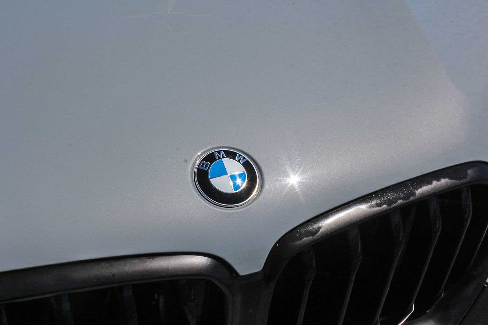 Thumbnail: 2024 BMW X6 - 11