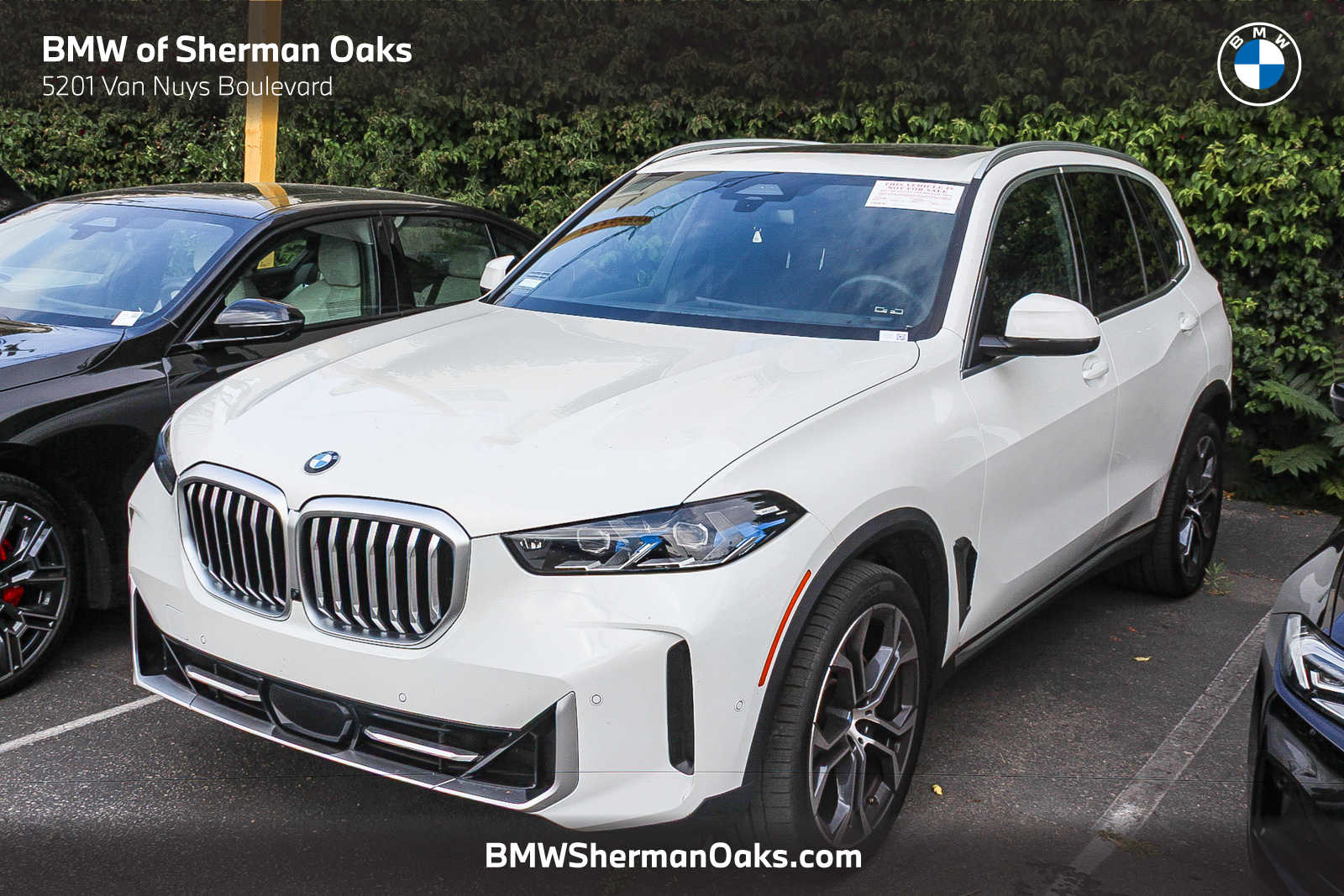 2024 BMW X5 sDrive40i's photo