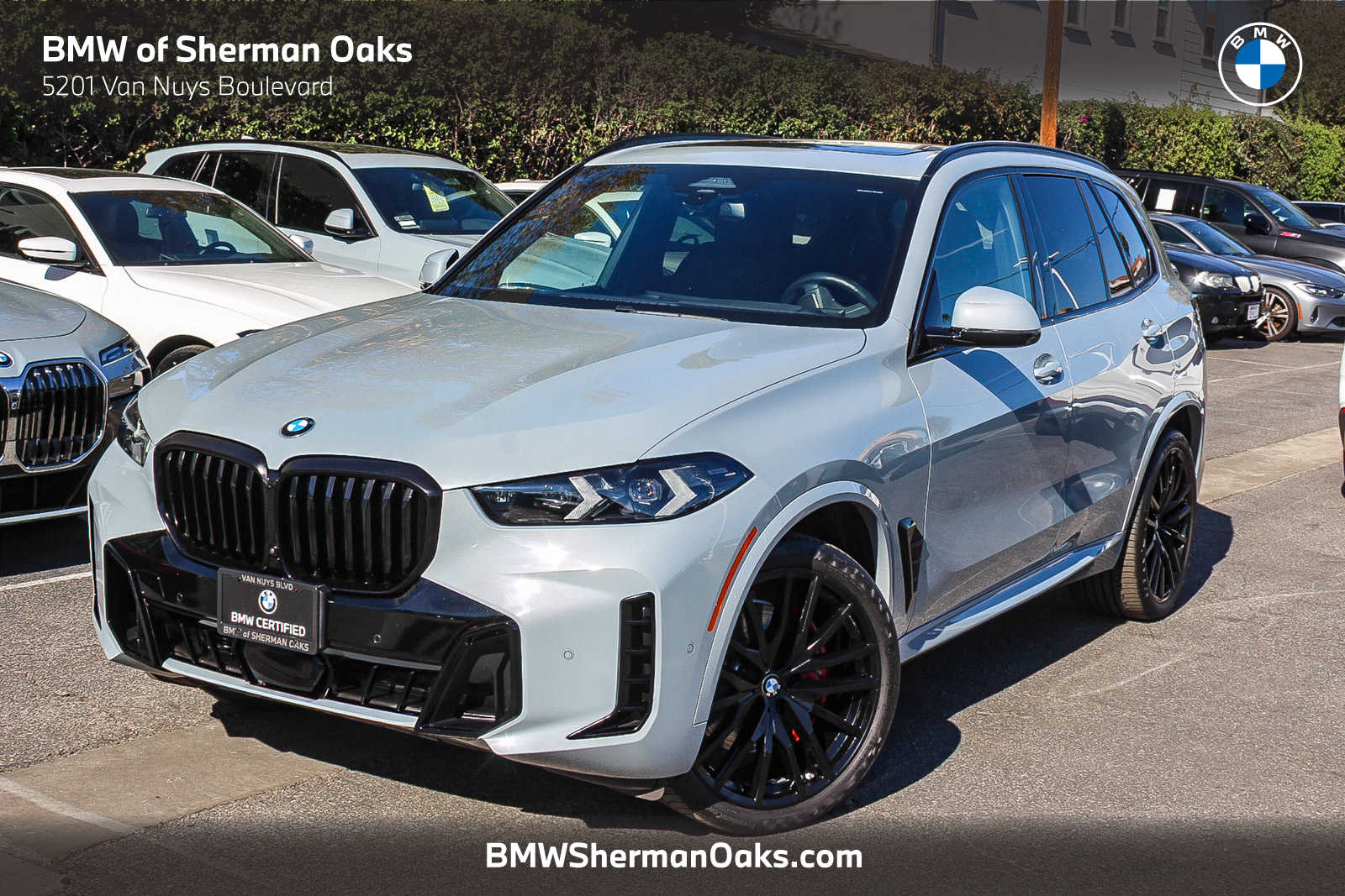 2024 BMW X5 Base's photo