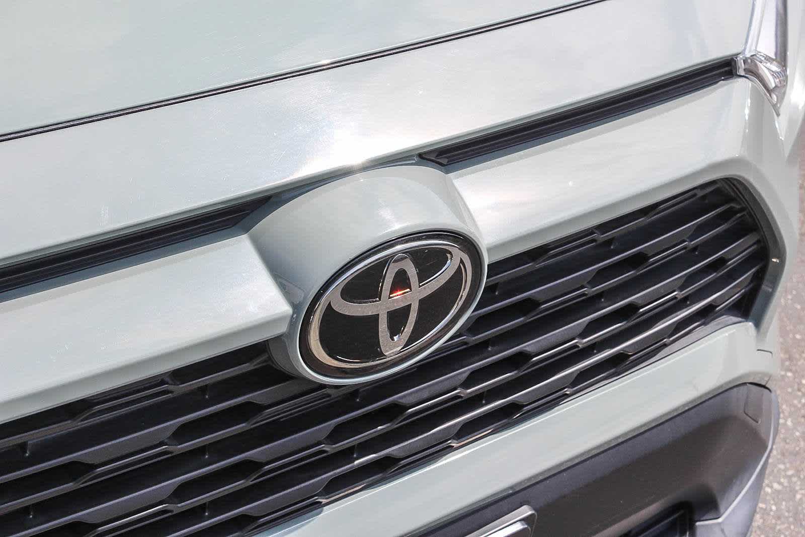 2019 Toyota RAV4 XLE 11