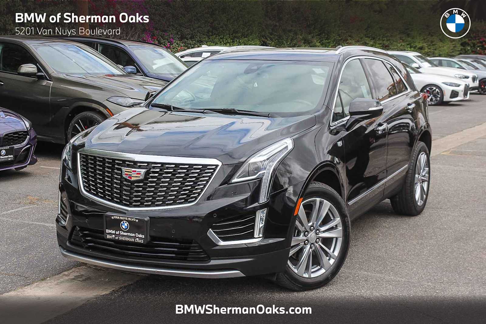 2024 Cadillac XT5 FWD Premium Luxury's photo