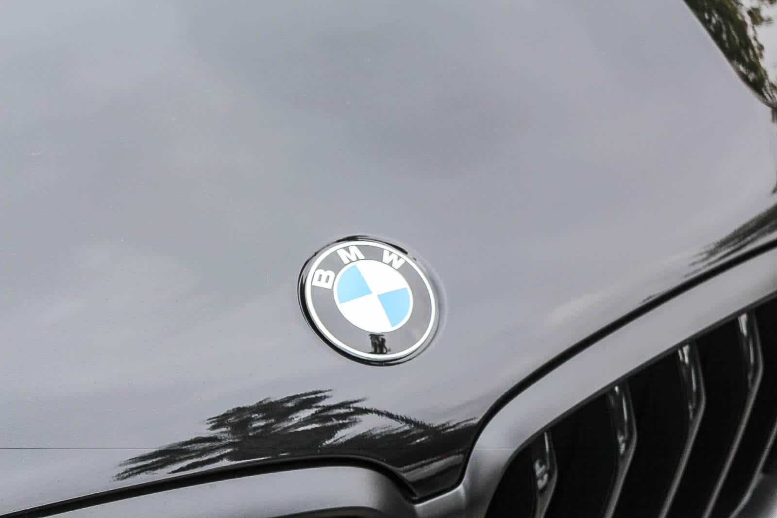 Thumbnail: 2027 BMW X6 - 11