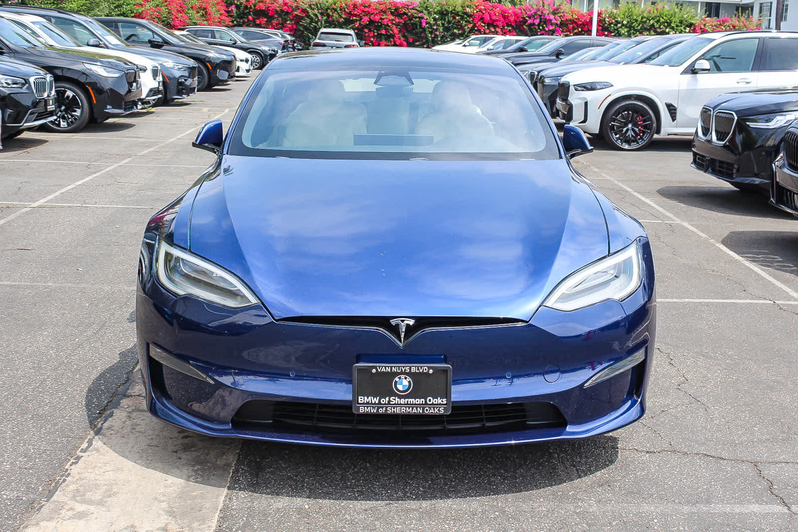 Used 2021 Tesla Model S Long Range Plus with VIN 5YJSA1E52MF439594 for sale in Sherman Oaks, CA