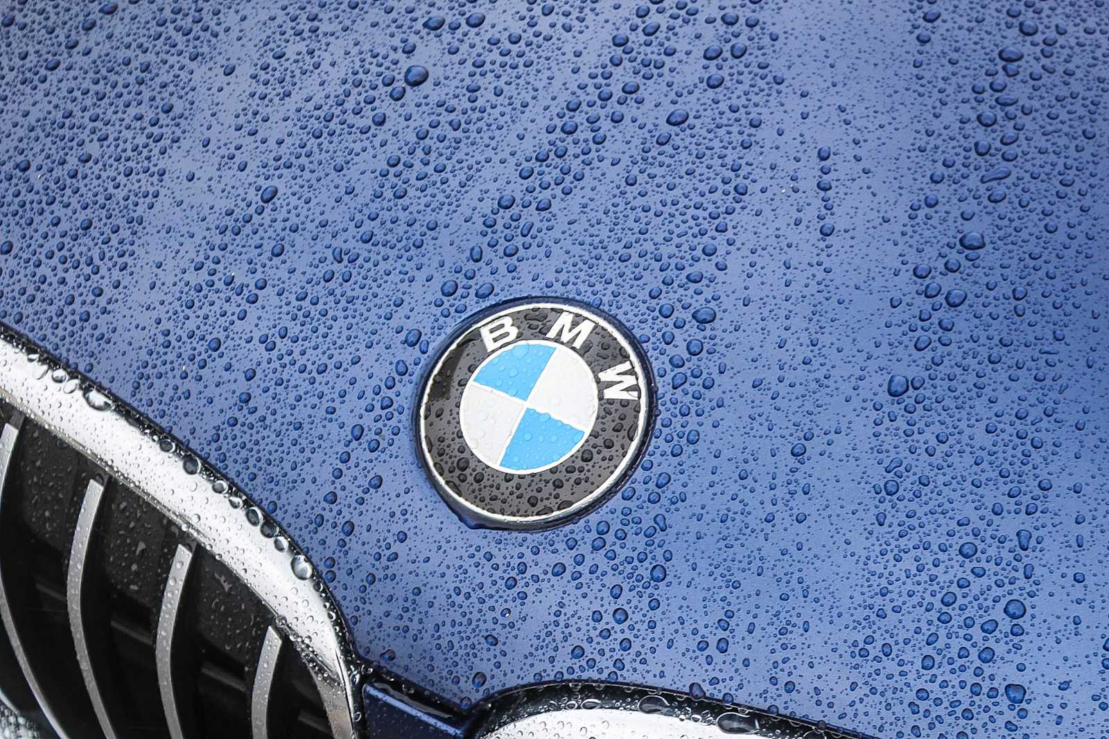 Thumbnail: 2019 BMW X1 - 17