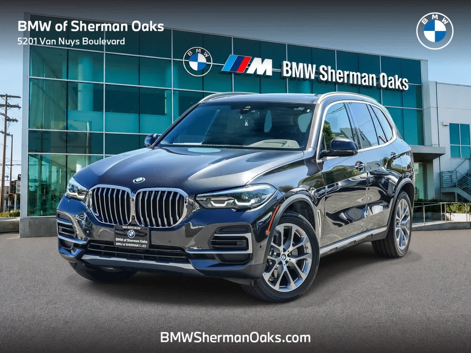 2023 BMW X5