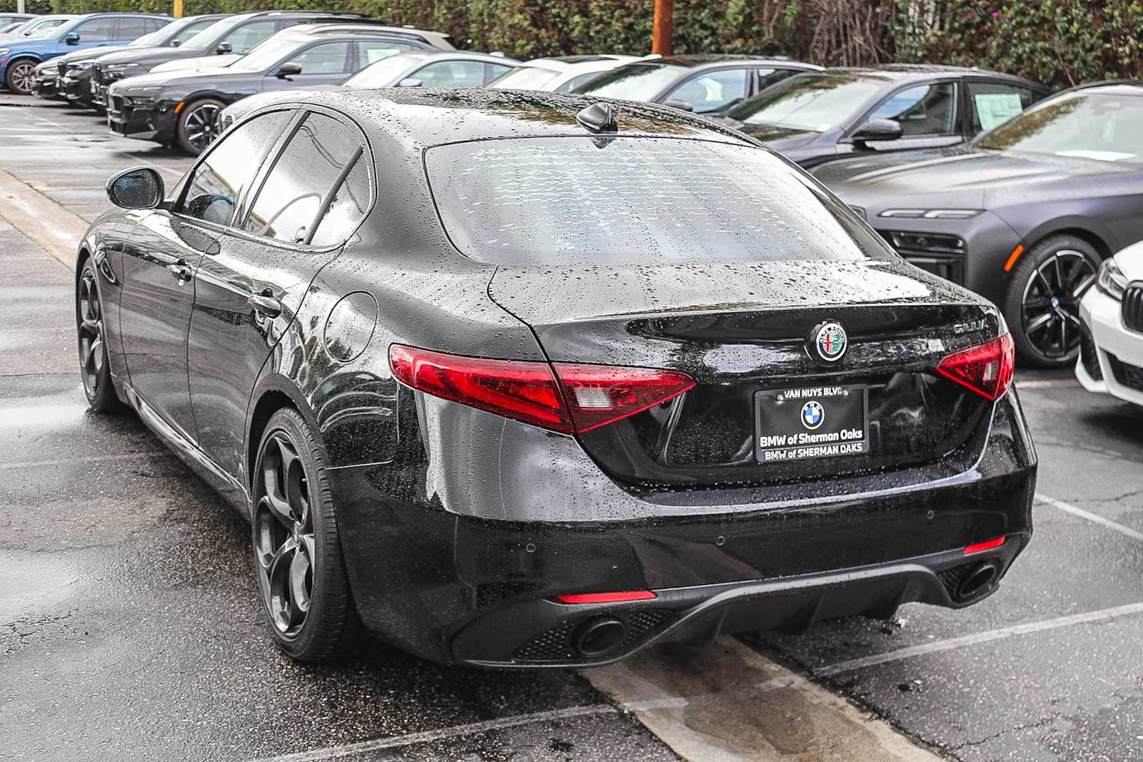 Thumbnail: 2019 Alfa Romeo Giulia - 11