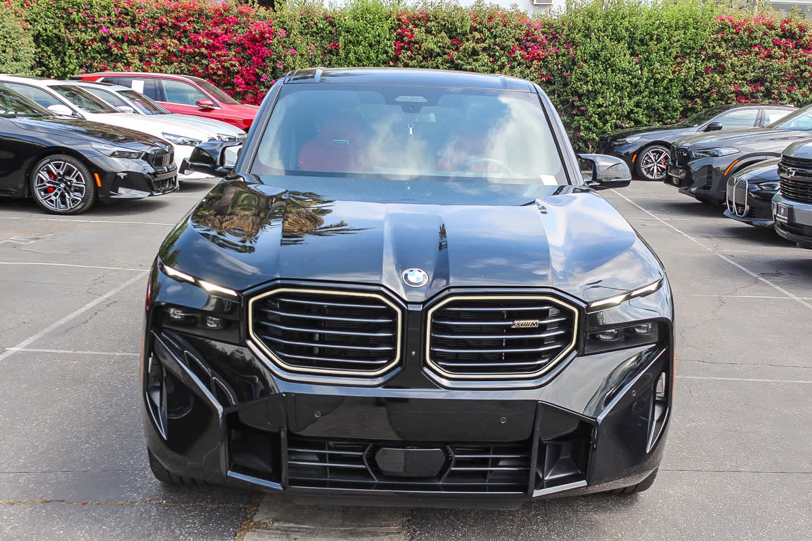2023 BMW XM photo 2