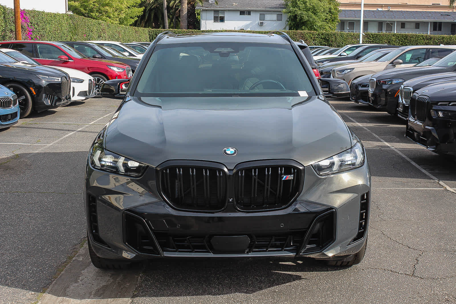 2024 BMW X5 M60i photo 2