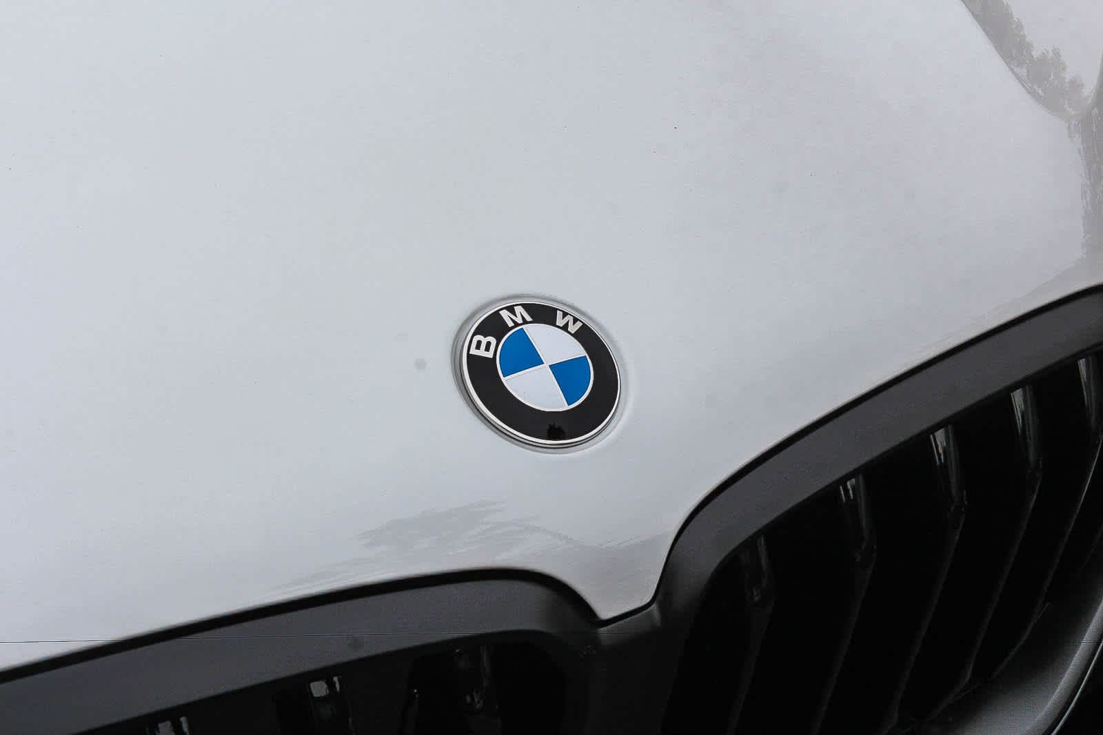 Thumbnail: 2027 BMW X6 - 11