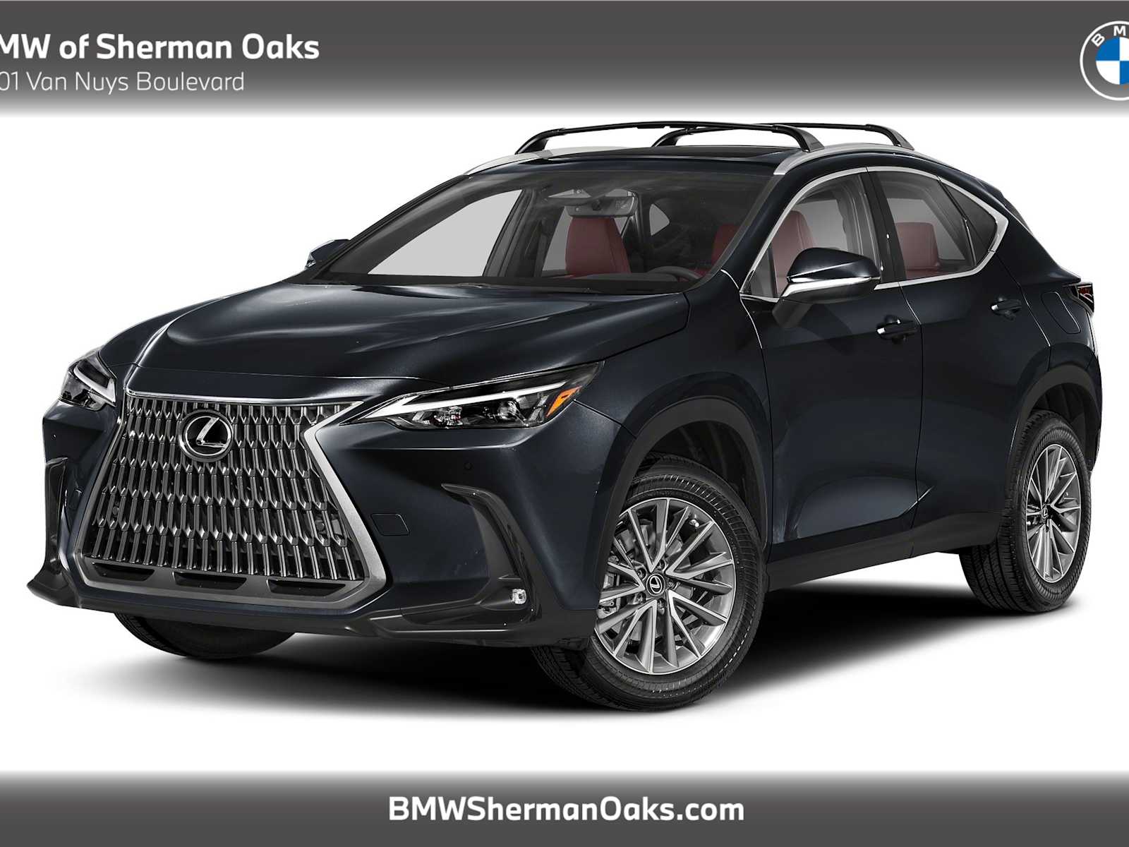 2024 Lexus NX 350's photo