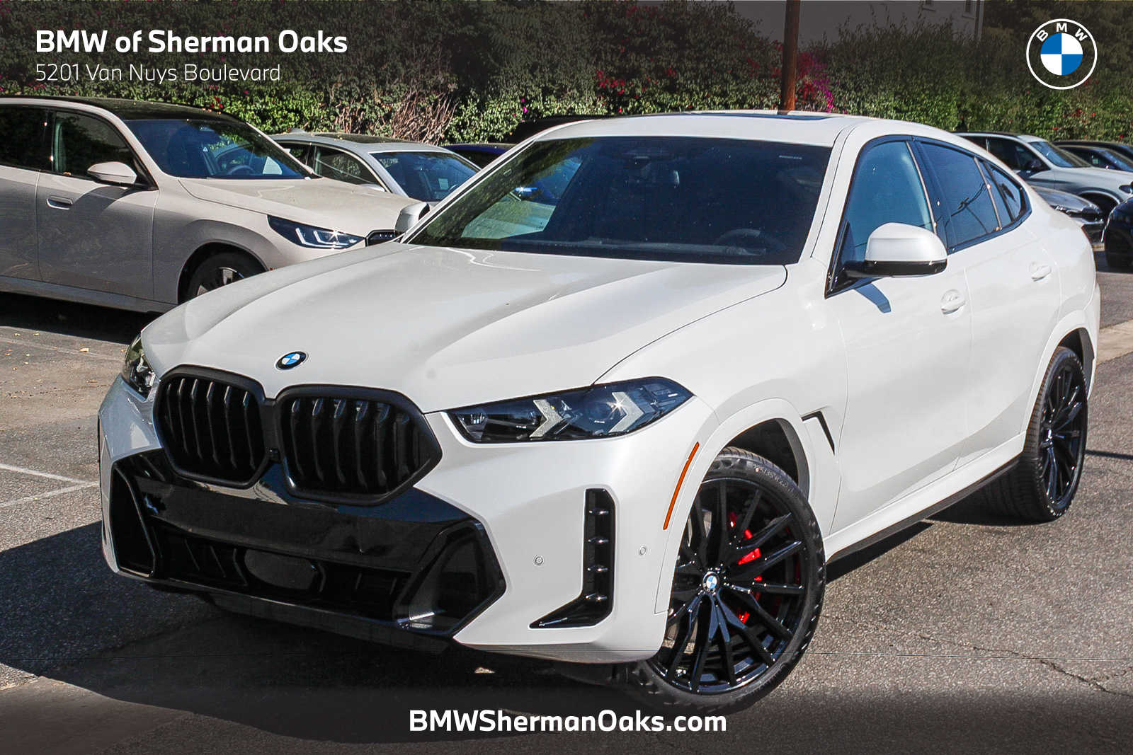 2027 BMW X6 xDrive40i's photo
