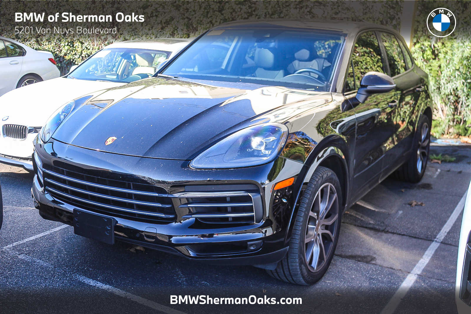 2023 Porsche Cayenne Base's photo