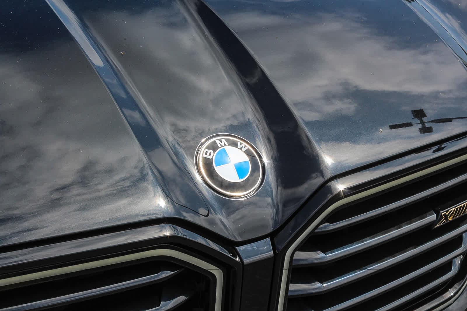 Thumbnail: 2023 BMW XM - 10