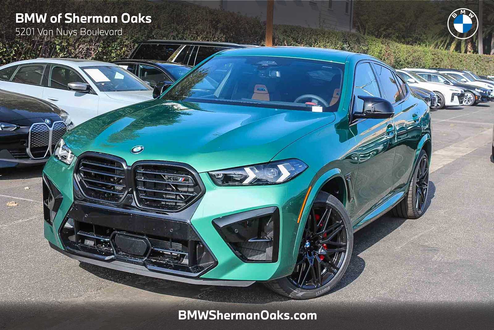 2026 BMW X6 M X6 M's photo