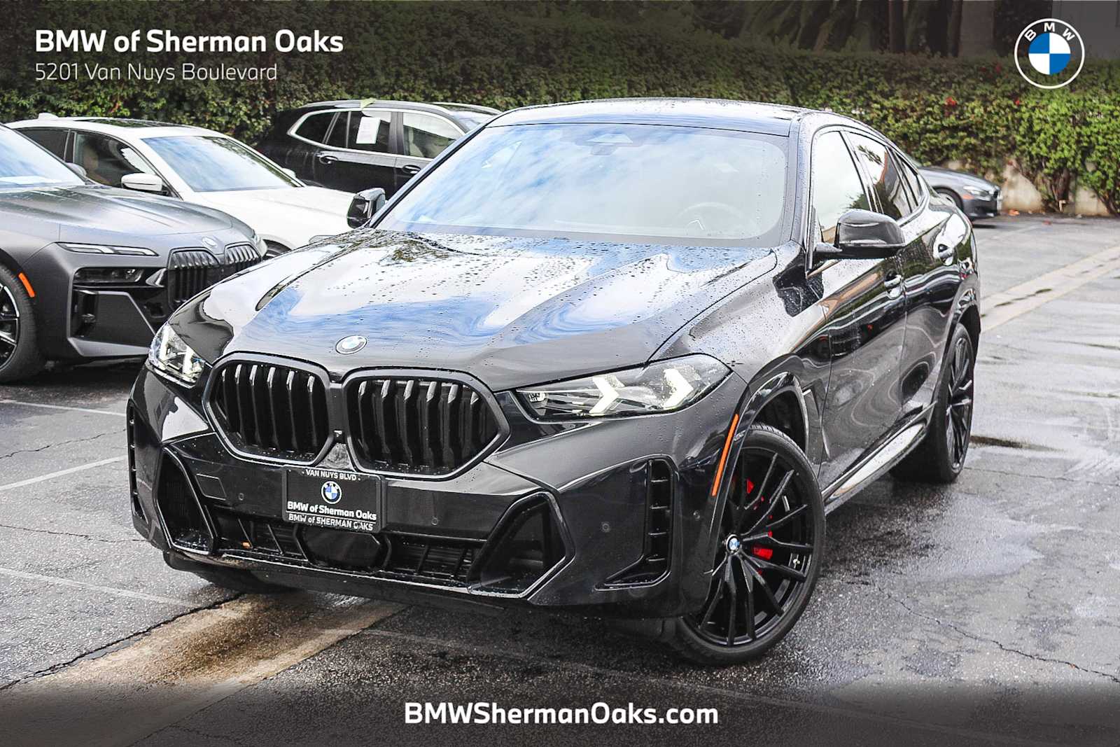 2025 BMW X6 40i's photo