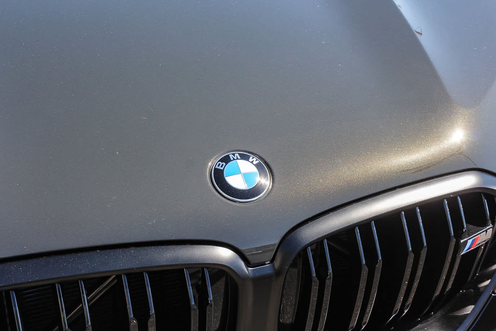 Thumbnail: 2027 BMW X6 - 11