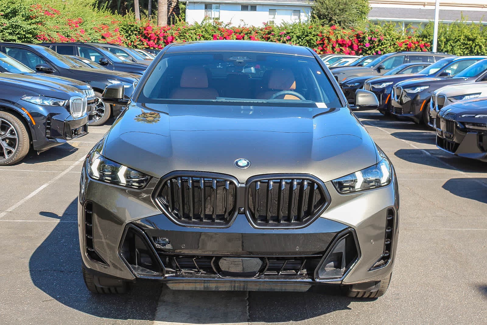 Thumbnail: 2026 BMW X6 - 2