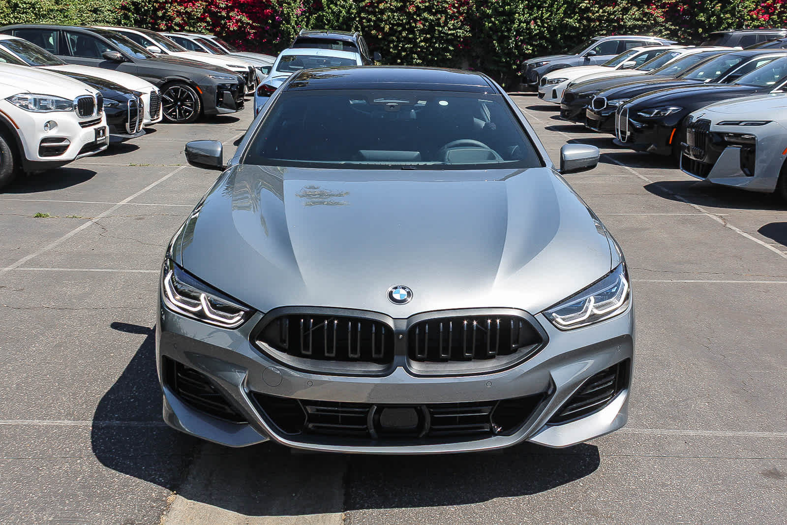 Thumbnail: 2026 BMW 8 Series - 3