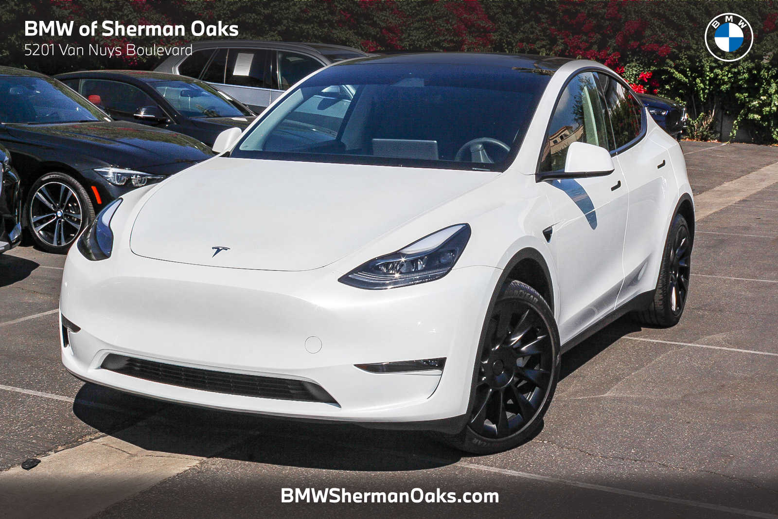 Thumbnail: 2024 Tesla Model Y - 1