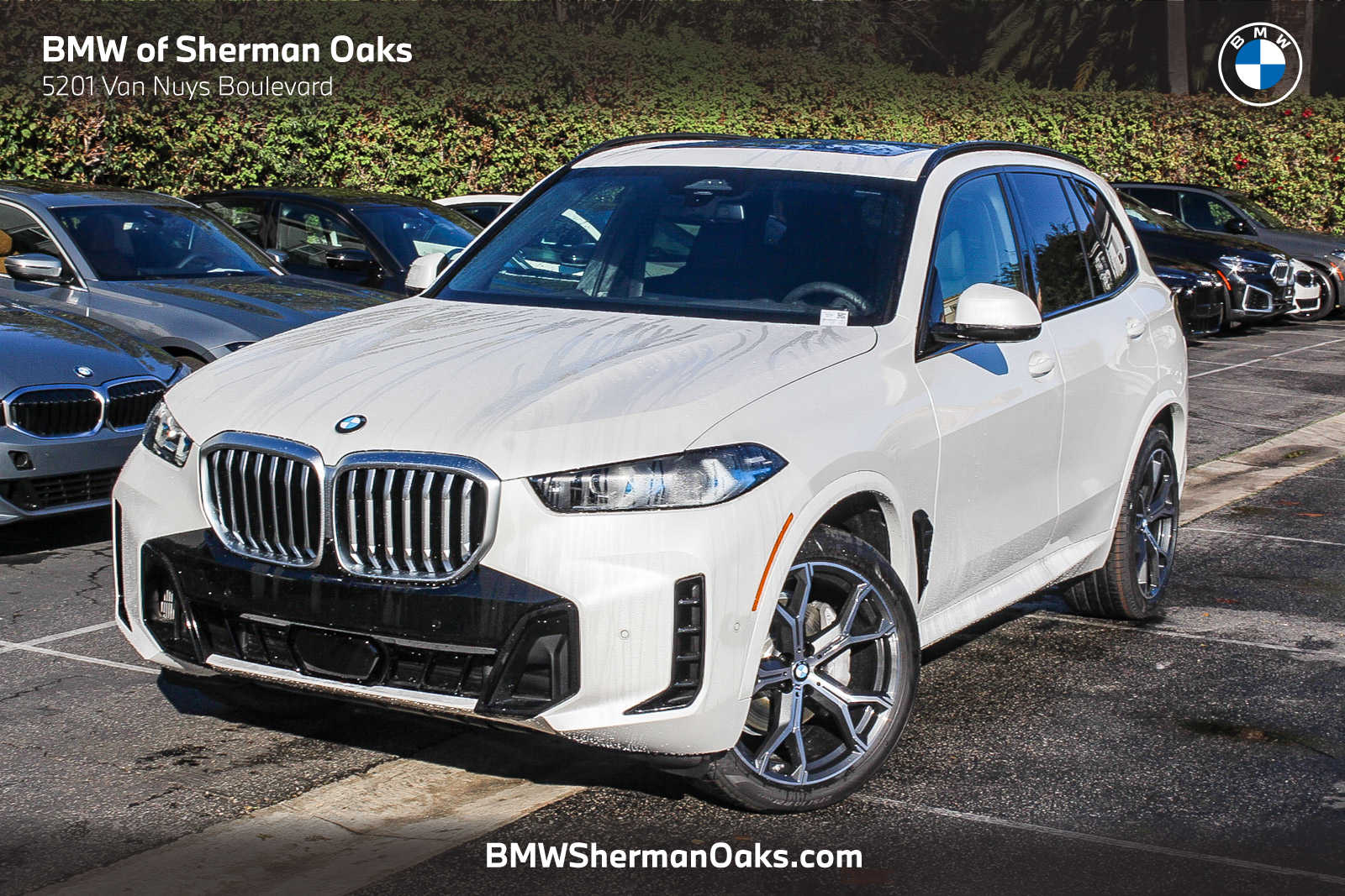 2026 BMW X5 40i's photo