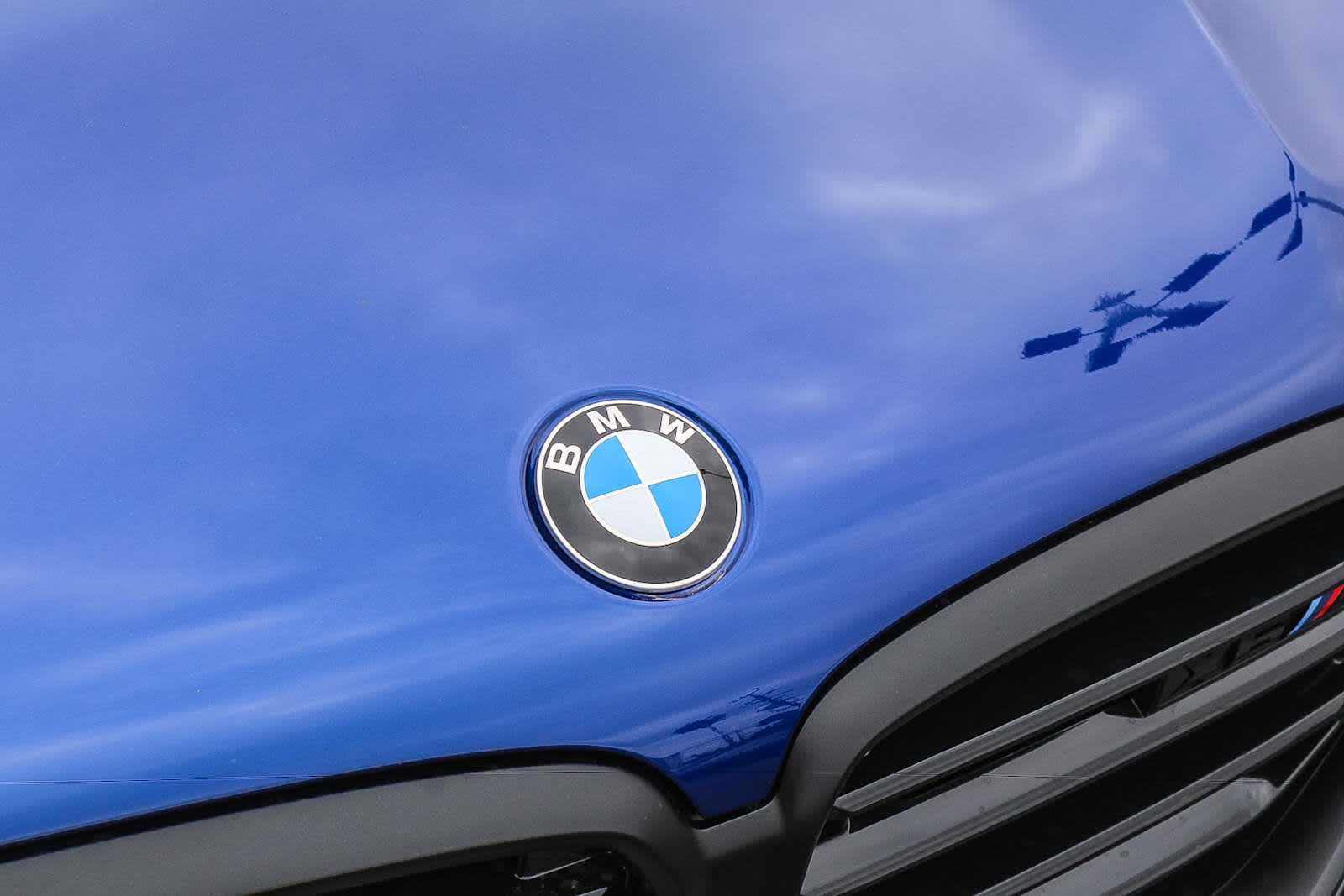 Thumbnail: 2027 BMW X6 - 11