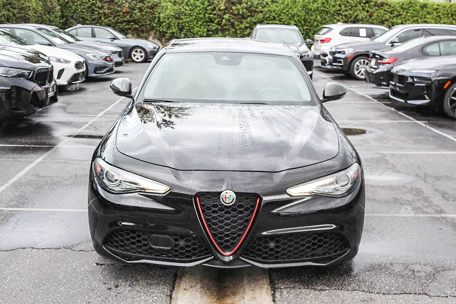 Thumbnail: 2019 Alfa Romeo Giulia - 3