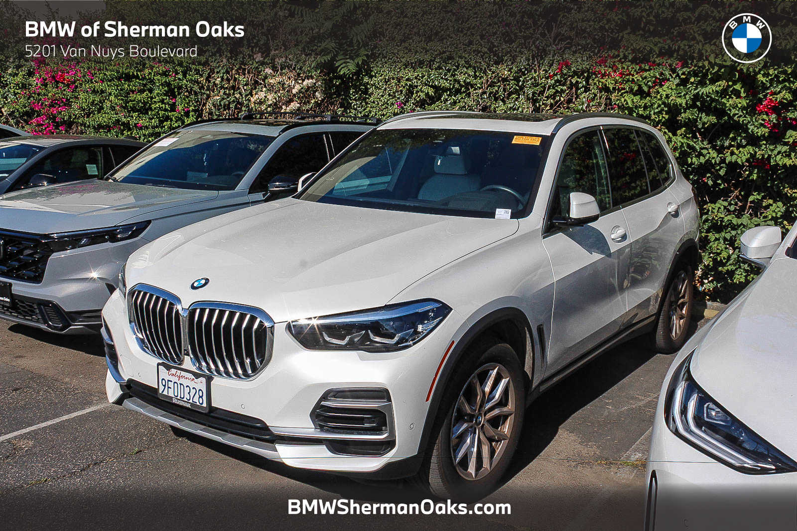 2023 BMW X5 sDrive40i's photo