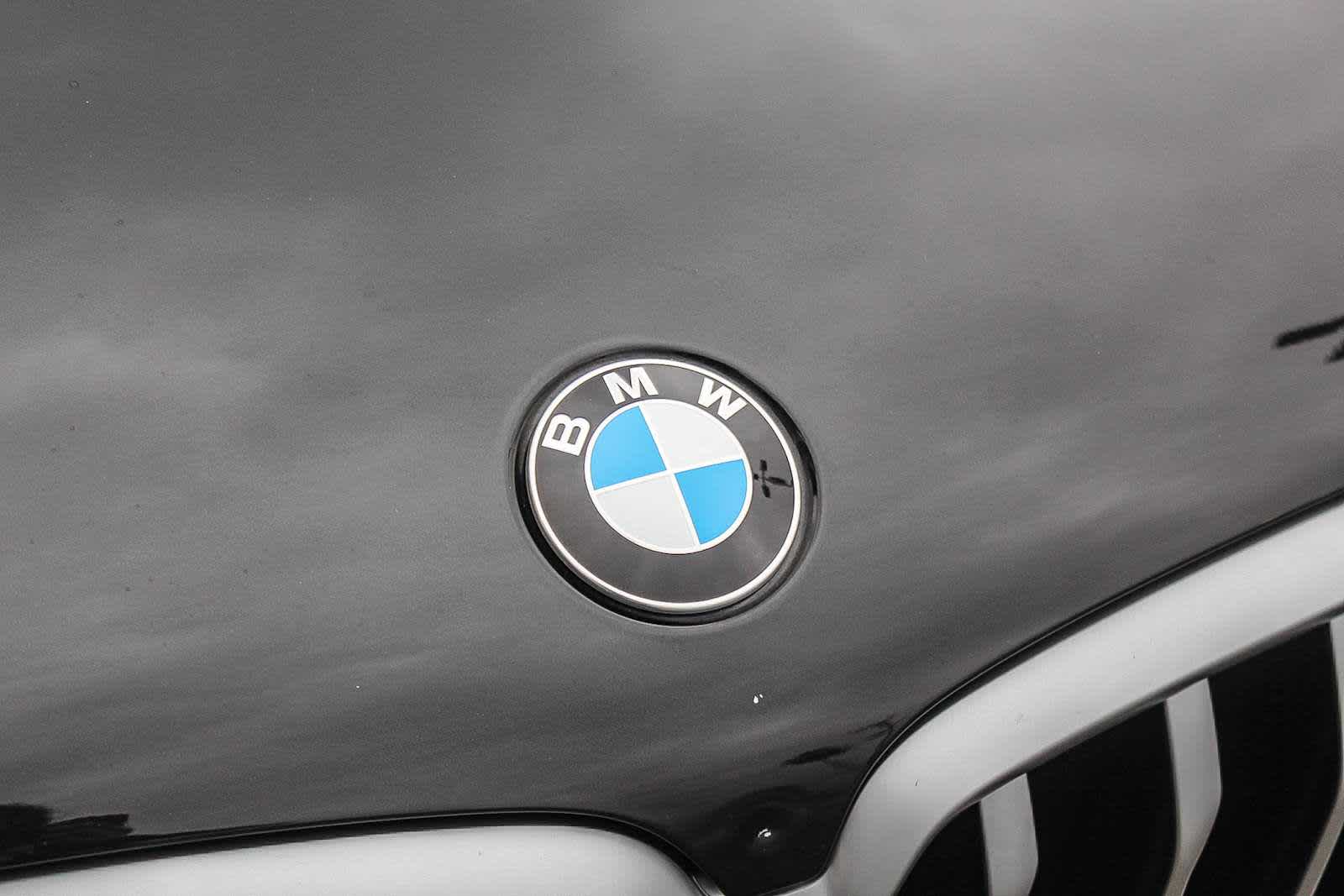 Thumbnail: 2023 BMW X6 - 11