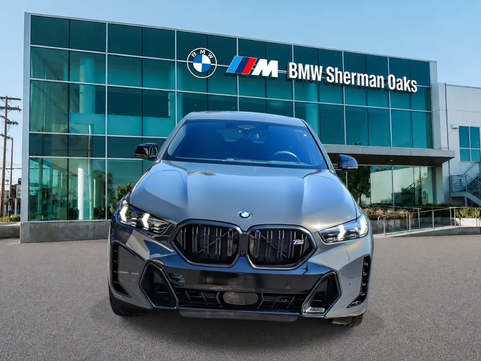 Thumbnail: 2027 BMW X6 - 2