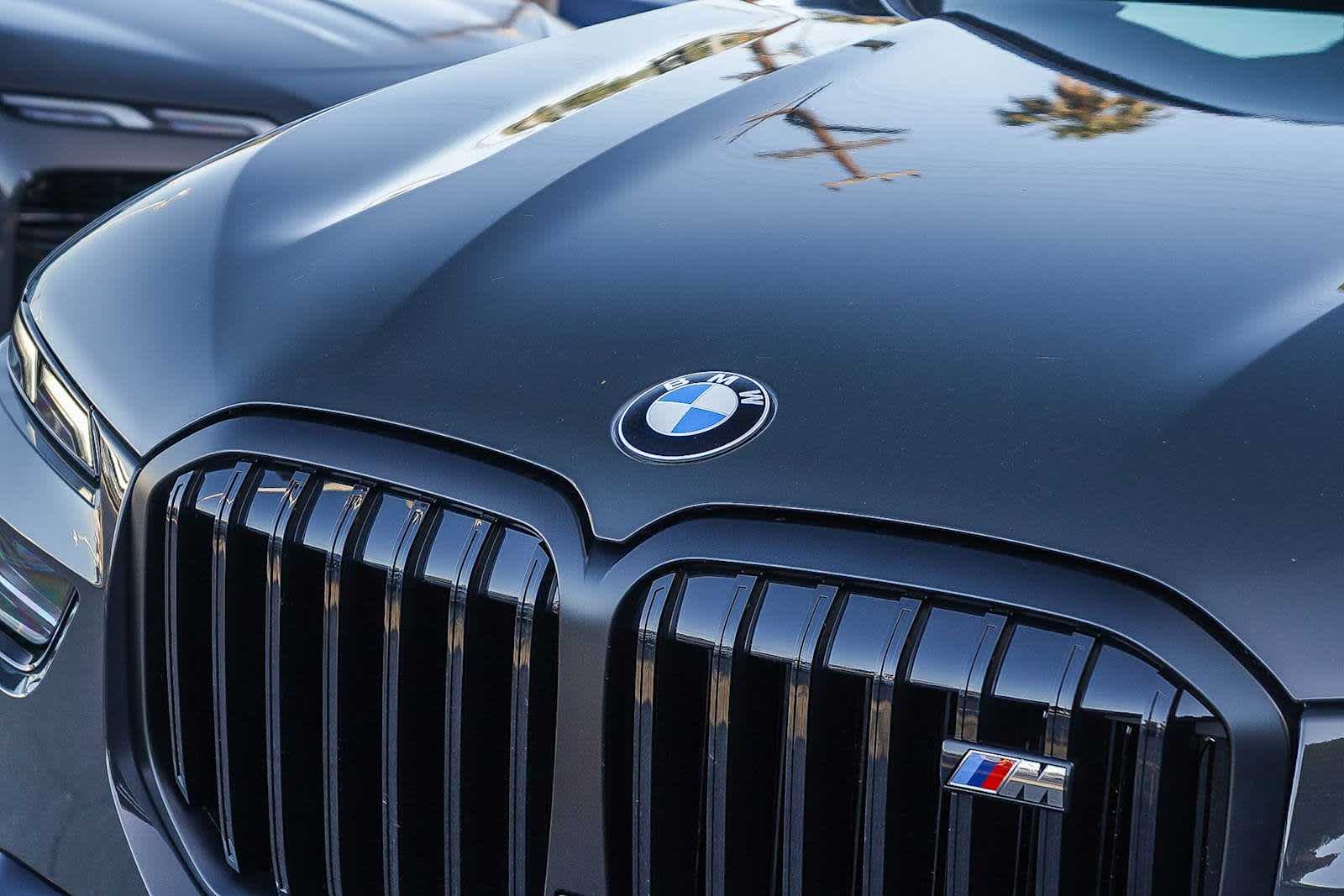 Thumbnail: 2026 BMW X7 - 9