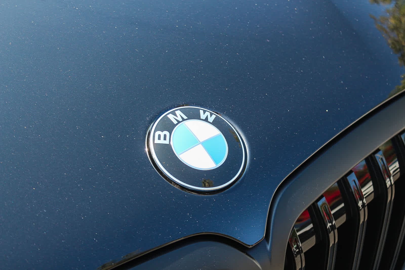Thumbnail: 2026 BMW X7 - 11