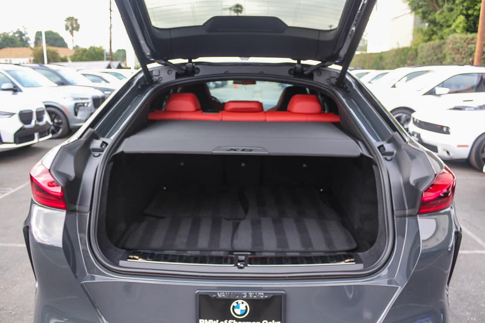 Thumbnail: 2024 BMW X6 - 24