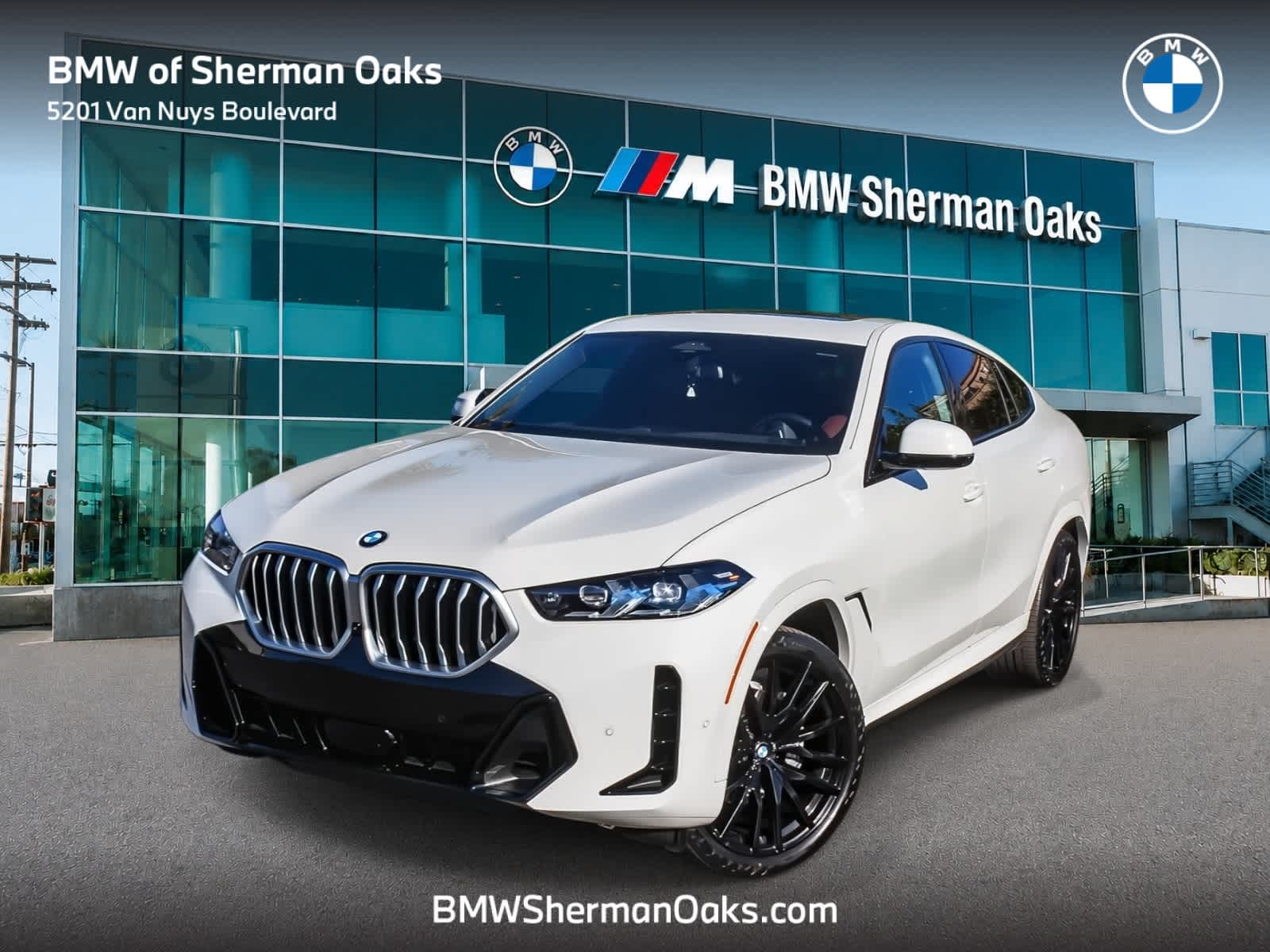 2024 BMW X6
