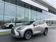  LEXUS NX 250