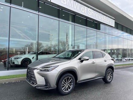 2022 LEXUS NX 250 SUV